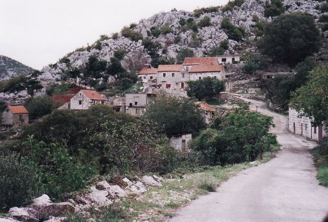 Ursići